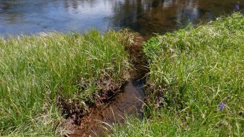 Kirkwood Meadow