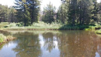 Kirkwood Meadow