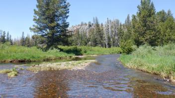 Kirkwood Meadow
