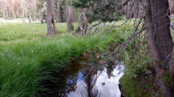 Upper Forni 2