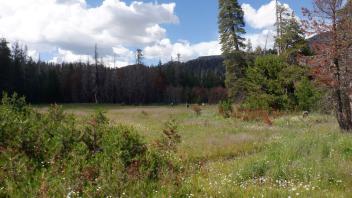 Upper Forni 1