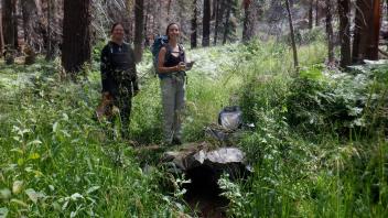 Huckleberry Flat