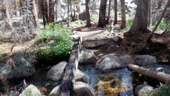 Huckleberry Flat