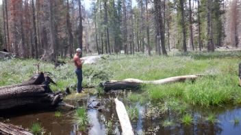 Huckleberry Flat