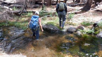 Huckleberry Flat
