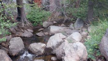 Kirkwood Lake