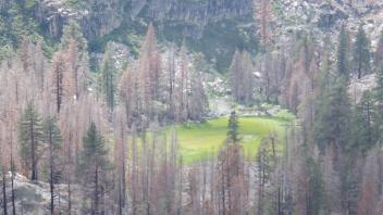 Kirkwood Lake