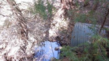 Plum Creek