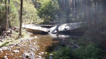 Plum Creek