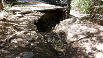Plum Creek