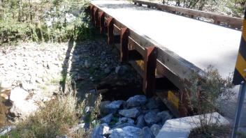 Plum Creek