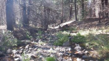 Elkins Flat