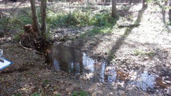 Elkins Flat