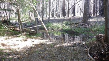 Elkins Flat