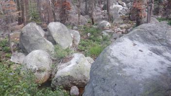 Strawberry Creek