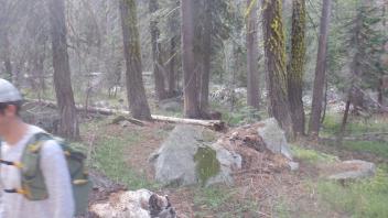 Strawberry Creek