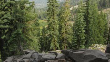 Distant view of lower meadow area