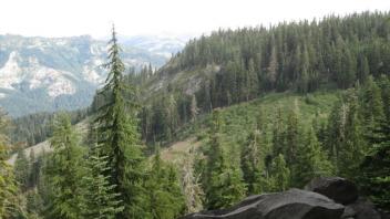 Distant view of upper meadow area