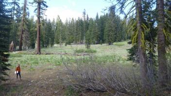 Downstream Transect (left to right)