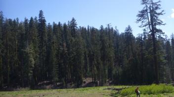 Downstream Transect (right to left)