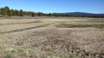 Downstream right below Dam