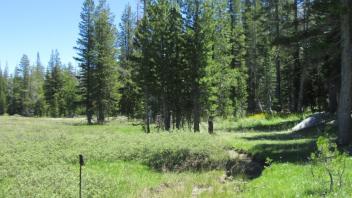 Dry Tributary Channel