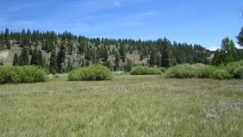 End of lower transect looking east