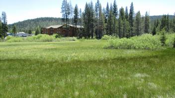End of lower transect looking east