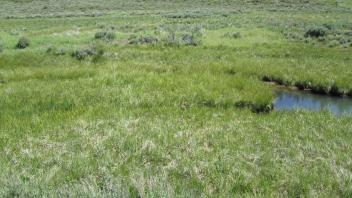 End of lower transect, includes channel left bank to right
