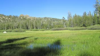 End of lower transect, looking east