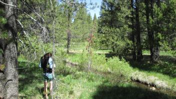 End of lower transect, looking north