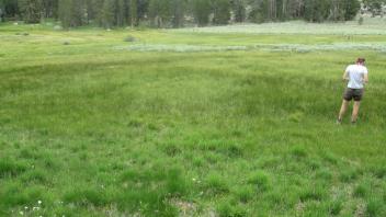 End of lower transect, looking northeast