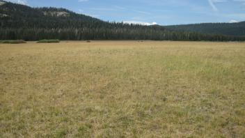 End of lower transect, looking northwest