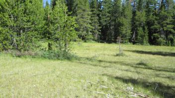 End of lower transect, looking northwest
