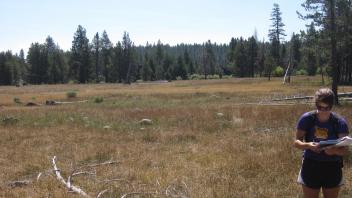 End of lower transect, looking south