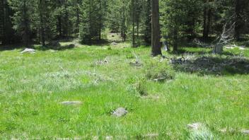 End of lower transect, looking south