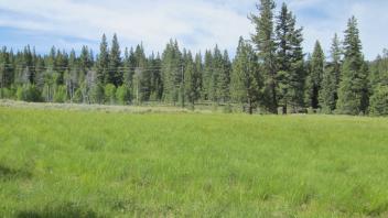 End of lower transect, looking south
