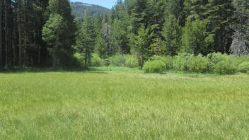 End of lower transect, looking southwest