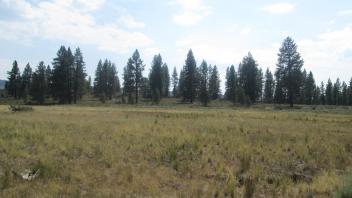 End of lower transect, looking soutwest