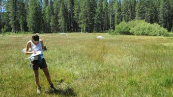 End of lower transect, looking soutwest