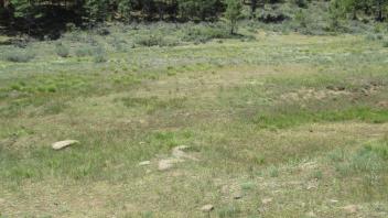 End of lower transect, looking soutwest