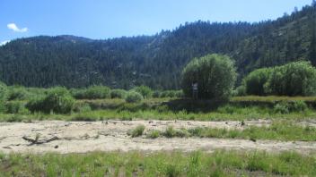 End of lower transect, looking west