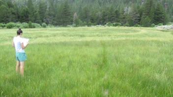 End of lower transect, looking west