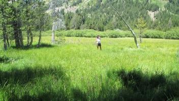 End of lower transect, looking west