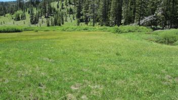 End of lower transect, looking west