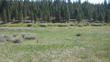 End of middle transect looking east