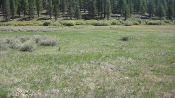 End of middle transect looking east