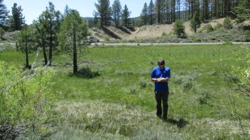 End of middle transect looking east