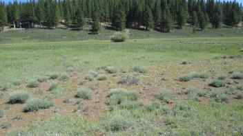 End of middle transect, looking east