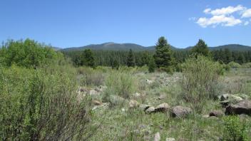 End of middle transect, looking east
